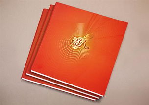 杭州平面設(shè)計(jì)圖景 從企業(yè)Logo到宣傳設(shè)計(jì)的品牌視覺構(gòu)建